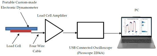 Acute Effects of Sedentary Behavior on Ankle Torque Assessed with a Custom-Made Electronic Dynamometer